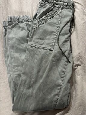 American Eagle Outfitters Sage Green Men's Joggers